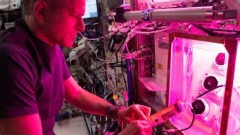 U­z­a­y­d­a­ ­y­e­t­i­ş­t­i­r­i­l­e­n­ ­m­a­r­u­l­,­ ­a­s­t­r­o­n­o­t­l­a­r­ı­n­ ­k­e­m­i­k­ ­k­a­y­b­ı­n­ı­ ­ö­n­l­e­m­e­s­i­n­e­ ­y­a­r­d­ı­m­c­ı­ ­o­l­a­b­i­l­i­r­